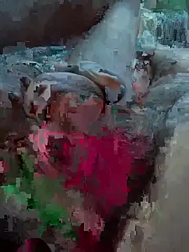 Followthepiper online show from 02-27-26, 12:11