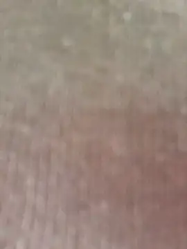 seherlatin online show from 02-07-26, 02:47