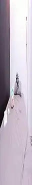 Snapshot of AdammClark1 chatting on 05-12-26, 07:20 AdammClark1 online show from 05-12-26, 07:20