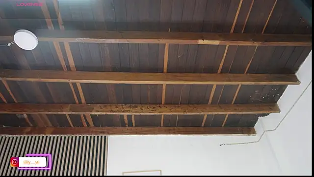 LillyDolls23 online show from 02-20-26, 01:02