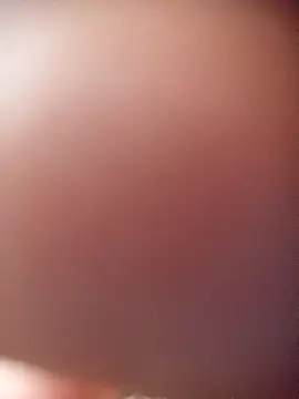 poloplayer123 online show from 02-13-26, 01:44