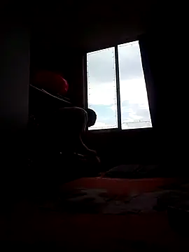 Cameron puppy online show from 11-15-25, 08:35