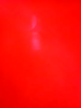 Cameron puppy online show from 12-01-25, 07:26