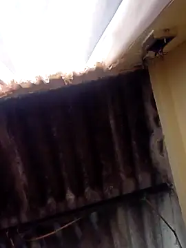 dantero online show from 02-27-25, 03:48