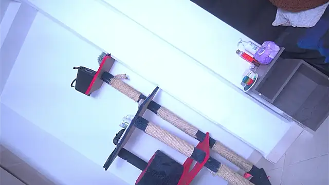 argiee taylorxs2 online show from 03-04-26, 11:34