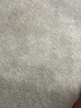 furkanktyAcalea online show from 12-02-25, 08:43