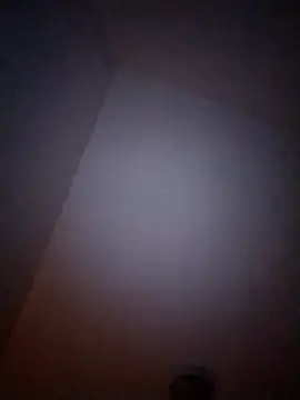 Treemandude online show from 01-06-26, 10:08