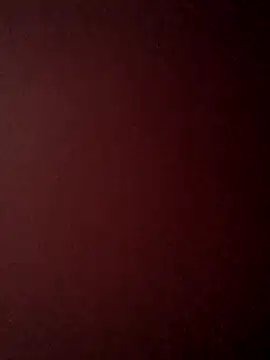 Treemandude online show from 10-25-25, 06:34