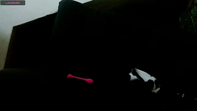 lady scarlettt online show from 02-18-25, 04:25