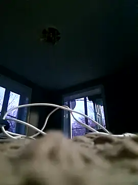 WhoreAnalsssxxx online show from 03-31-26, 03:58