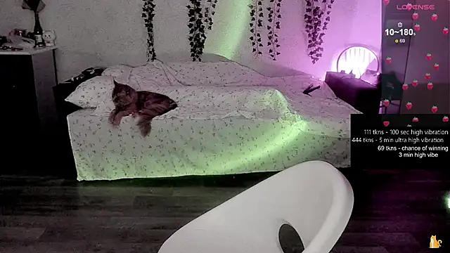 strawberry elfcat online show from 02-20-26, 01:24