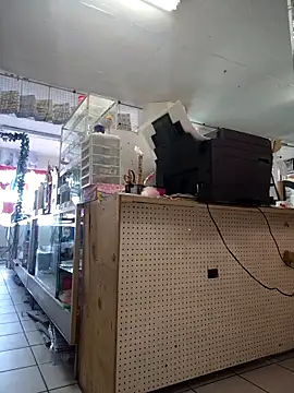 Mia Novikov online show from 02-24-26, 10:21