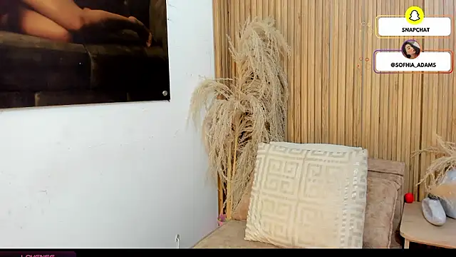 sofhiaa adaams online show from 02-20-26, 10:44