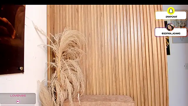 sofhiaa adaams online show from 02-22-26, 05:14