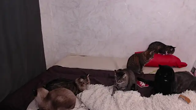 Snapshot of Olivia_Winston chatting on 02-09-26, 03:48 Olivia Winston online show from 02-09-26, 03:48