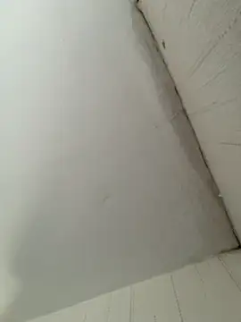 elninoblacko online show from 02-08-26, 03:10