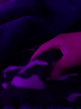 Ghotsniper666 online show from 10-14-25, 06:47