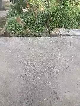 ind hero online show from 10-31-25, 10:12