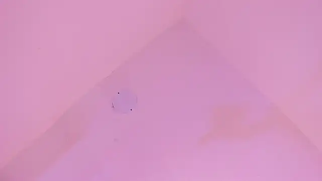 LoveQueen2 online show from 01-14-26, 11:58