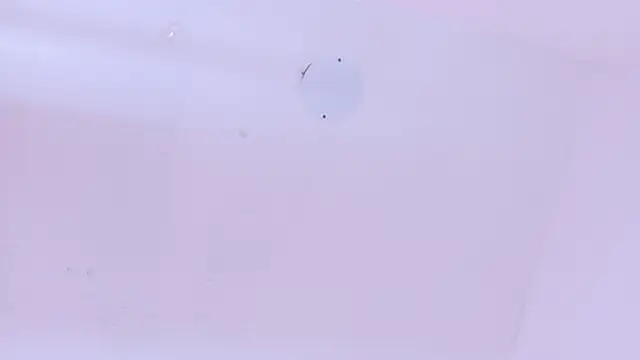 LoveQueen2 online show from 03-20-26, 11:44