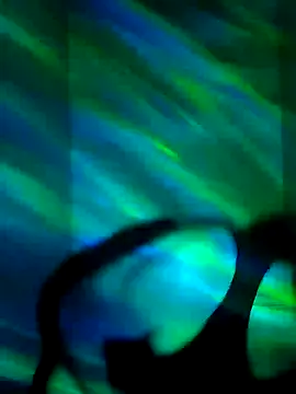 Snapshot of CloudyBoy_Toy chatting on 01-14-25, 12:54 CloudyBoy Toy online show from 01-14-25, 12:54