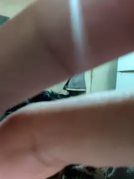 Snapshot of khema99 chatting on 01-12-26, 10:03 khema99 online show from 01-12-26, 10:03