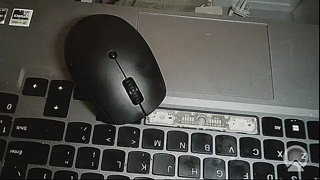 EXOTICLEXXXI online show from 02-14-26, 03:23