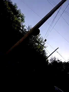 hecwil8 online show from 01-22-25, 09:10