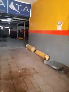 hecwil8 online show from 09-10-25, 07:02