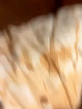 gigetto1977 online show from 01-07-26, 02:33