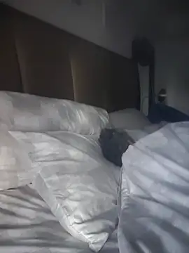 CeceilaMoon online show from 04-21-26, 01:07