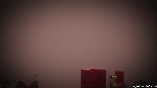 meganmei666 online show from 12-22-25, 02:44