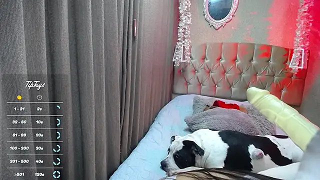 Dreams sophi online show from 07-05-26, 11:55