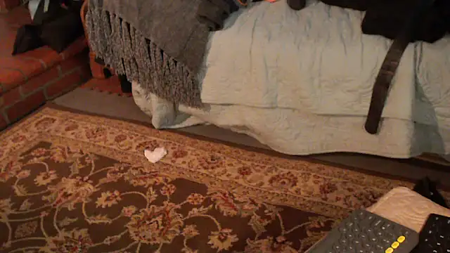 Dark Asteroid online show from 03-09-26, 01:58