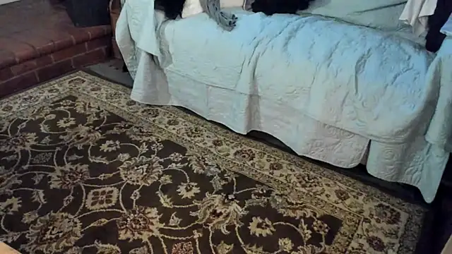 Dark Asteroid online show from 12-21-25, 03:03