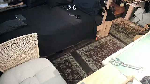 Dark Asteroid online show from 02-28-26, 01:33