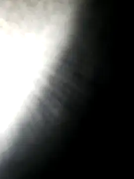 hotdog4you2 online show from 10-16-25, 09:56