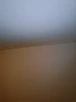 molozeb online show from 12-19-25, 08:55