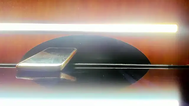 Snapshot of harly__queen chatting on 02-25-25, 06:44 harly queen online show from 02-25-25, 06:44