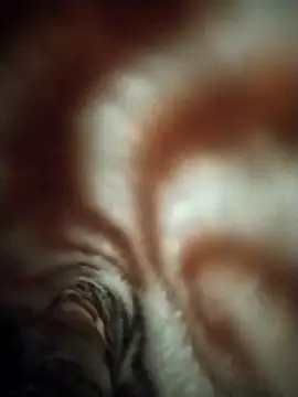 FantasticWonders9 online show from 04-12-26, 10:24