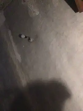 ChantalXOrchid online show from 04-17-26, 08:22