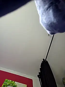 dieGeile0411 online show from 10-25-25, 09:52