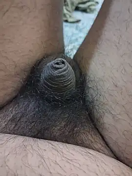 dirtybearr online show from 02-05-26, 05:42