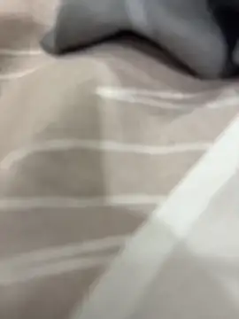 rajapo 1 online show from 11-05-25, 03:09