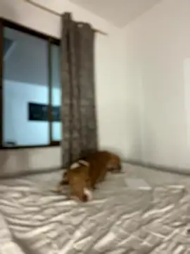 CurlyGirl 1 online show from 01-18-26, 11:19