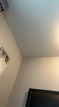 Phattpinktaco online show from 02-26-25, 07:21