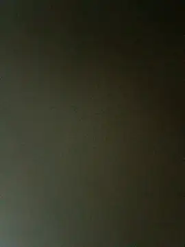 fieltoprj1 online show from 02-27-26, 01:06