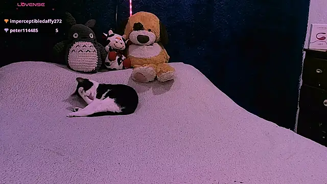 NinaYellow online show from 12-02-24, 05:21