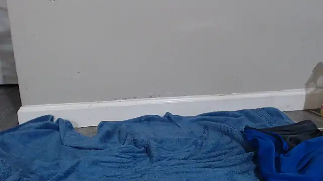 Dogz n daugthers online show from 12-17-24, 06:24