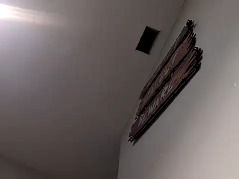 Dogz n daugthers online show from 12-03-24, 08:00